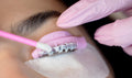 Online Accredited Lash Lift & Tint Course